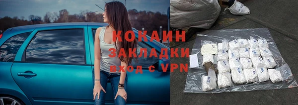 прущие грибы Лабытнанги
