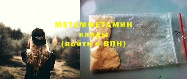 прущие грибы Лабытнанги