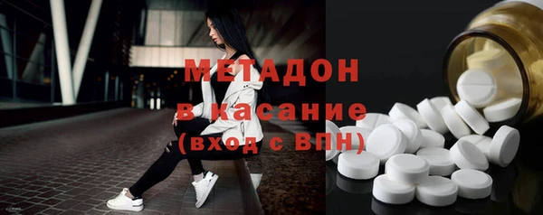 прущие грибы Лабытнанги