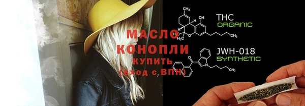 прущие грибы Лабытнанги