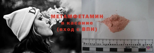 прущие грибы Лабытнанги