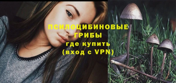 соль курить ск Шадринск