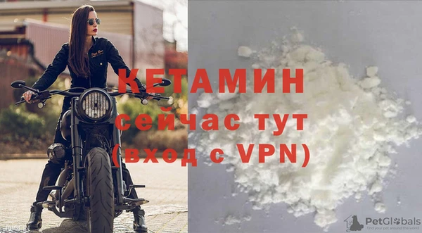 прущие грибы Лабытнанги