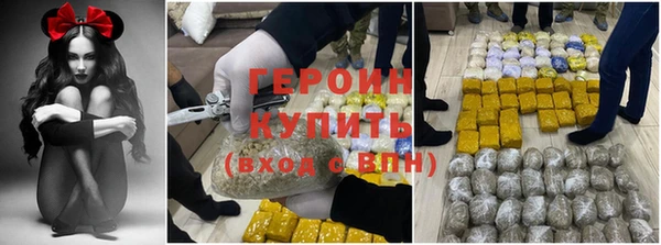 прущие грибы Лабытнанги