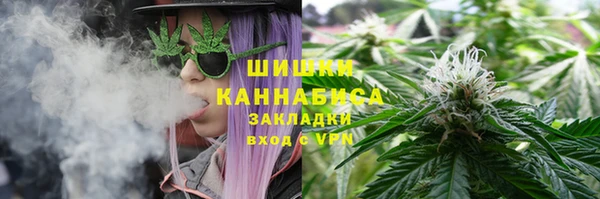 прущие грибы Лабытнанги
