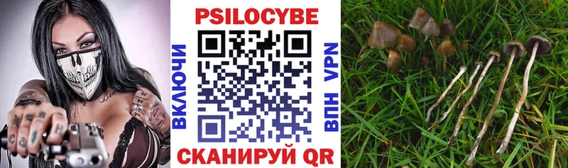 Псилоцибиновые грибы Cubensis  Дыгулыбгей 